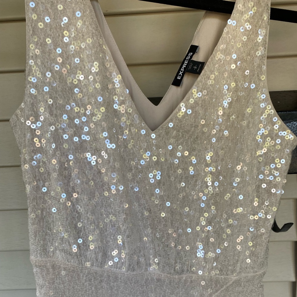 Express Sequin V-Neck Midi Dress! - Picture 13 of 14